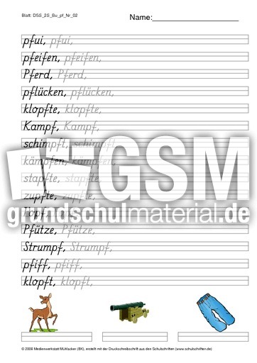 DSS_2S_Bu_pf_Nr_02.pdf